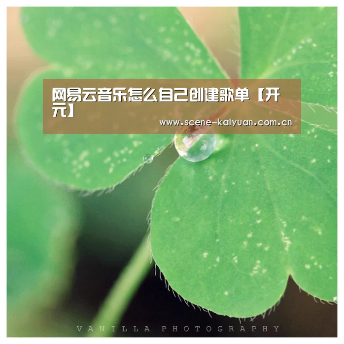 网易云音乐怎么自己创建歌单【开元】(图3) 开云棋牌