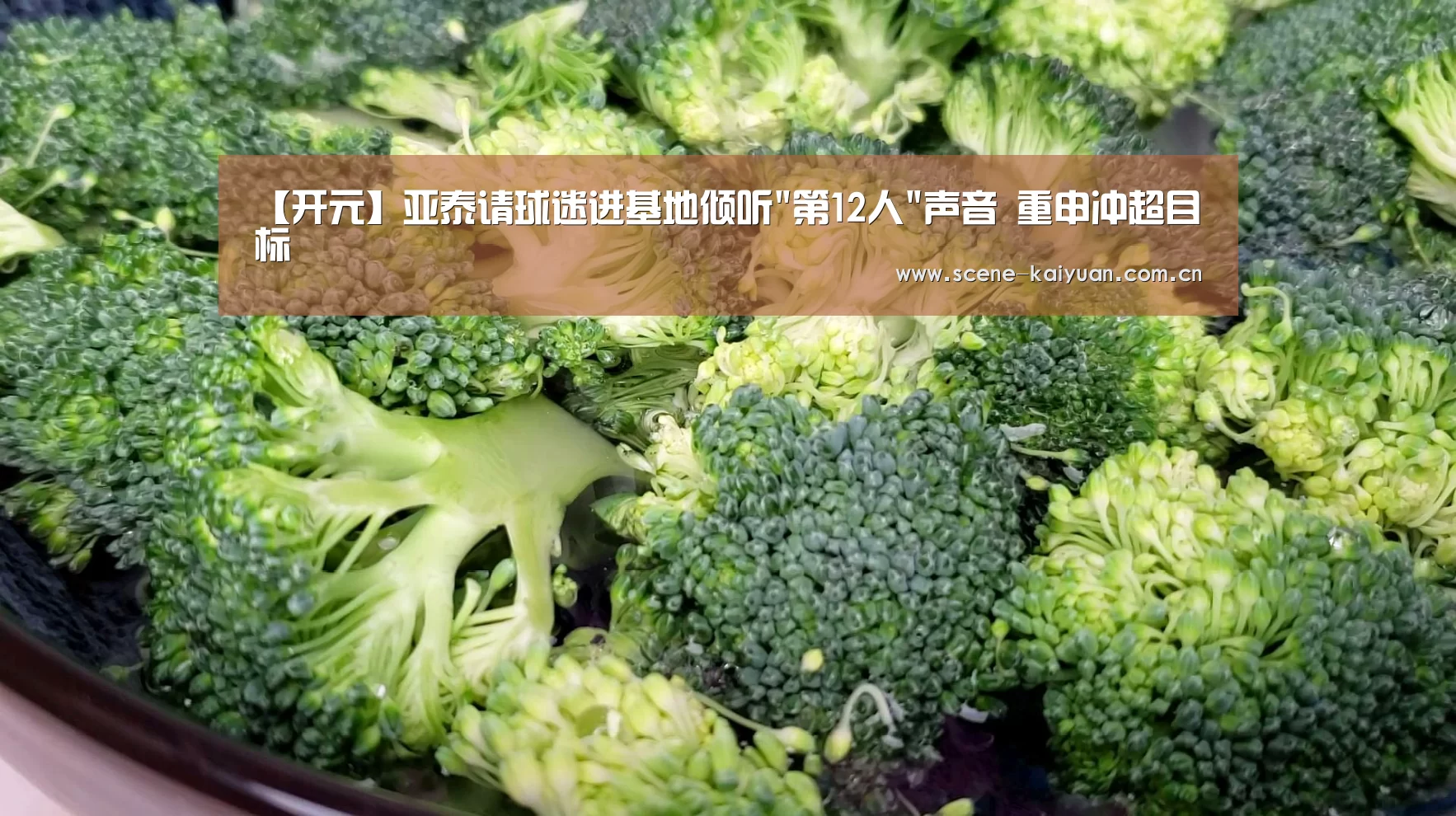开元棋牌官网