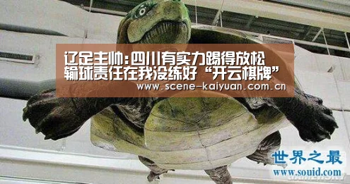 辽足主帅:四川有实力踢得放松 输球责任在我没练好“开云棋牌”(图1) 开元棋牌官网