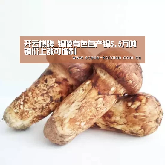 开云棋牌_铜陵有色自产铜5.5万吨铜价上涨可增利(图2) 开元棋牌网址