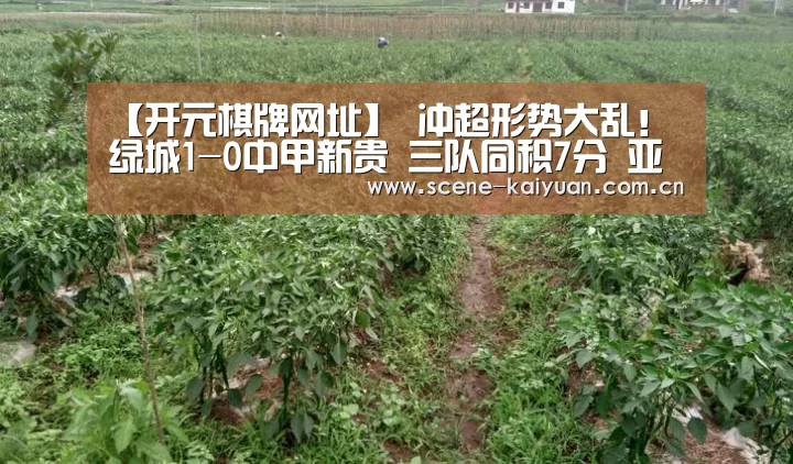 【开元棋牌网址】
冲超形势大乱!绿城1-0中甲新贵 三队同积7分 亚泰手握主动(图2) 开元棋牌官网