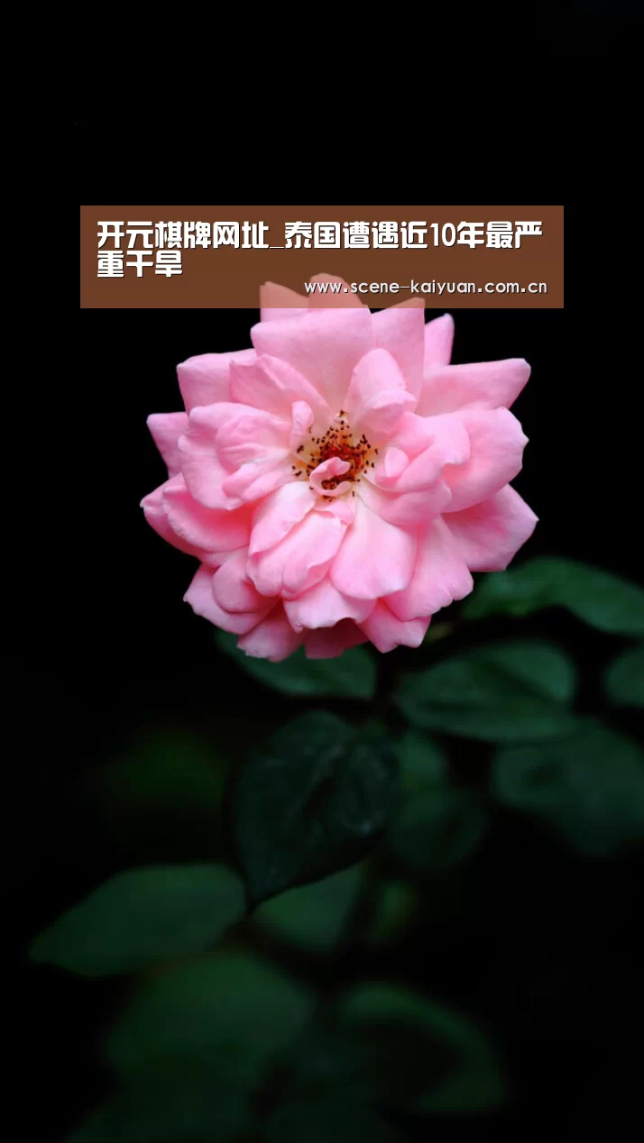 开元棋牌网址_泰国遭遇近10年最严重干旱(图1) 开云棋牌