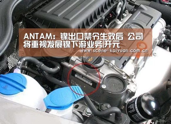 ANTAM:镍出口禁令生效后 公司将重视发展镍下游业务|开元(图3) 开元棋牌网址