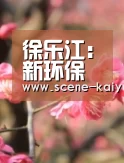 开云棋牌